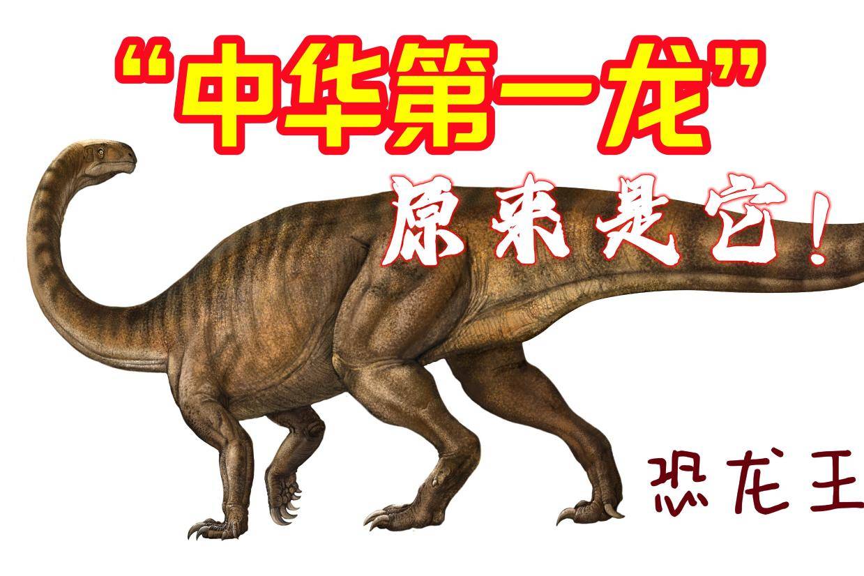 “禄丰”【恐龙世界】“中华第一龙”是哪种恐龙？