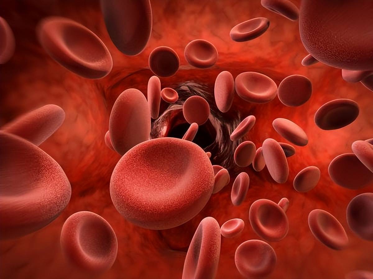 血友病可以治愈吗 怎么引起的症状有哪些