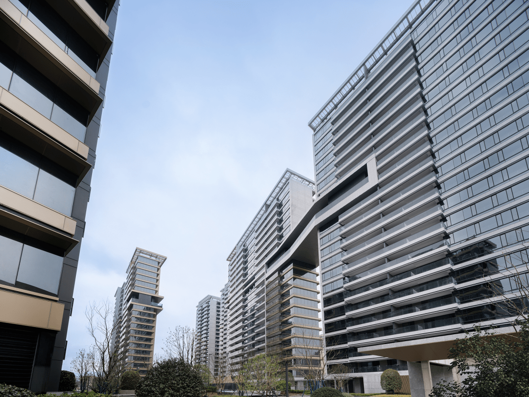 台州城央再现"朗成出品",大宅样板开放在即!_云镜_中心_江南