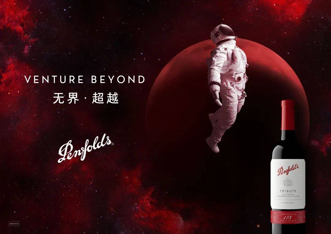 葡萄 奔富Bin407 赤霞珠(Cabernet Sauvignon)-爱德为实
