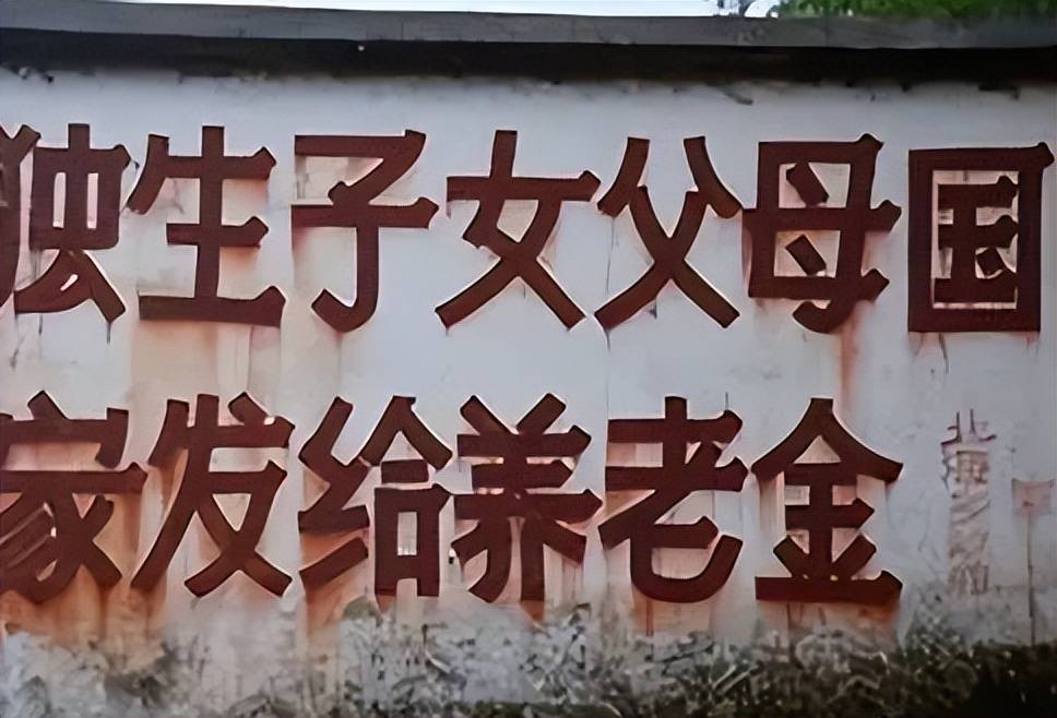 "只生一个好,国家来养老",独生子女父母的养老问题,该解决了_家庭