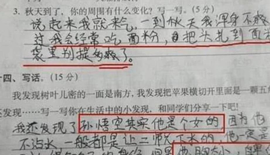 原创            小学生奇葩写话，“孙悟空其实是个女的”，老师看完后气得想摔笔-小学生作文孙悟空