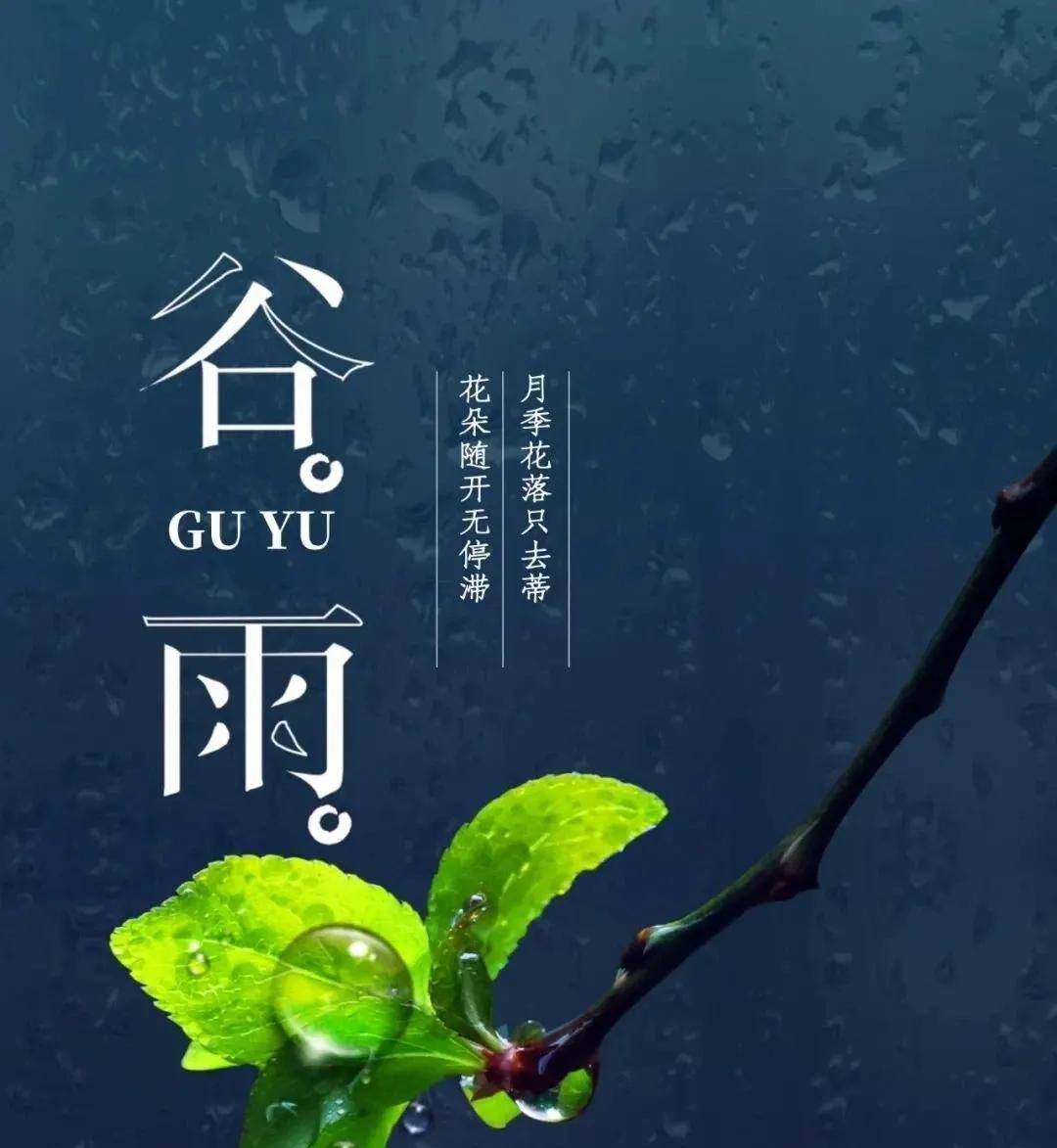 4月20日二十四節氣-穀雨,穀雨時節,穀雨節氣早安圖片_祝福_翠竹_朋友