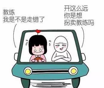 安欣学车_安儿欣和贝儿欣_无喱学车 长沙学车