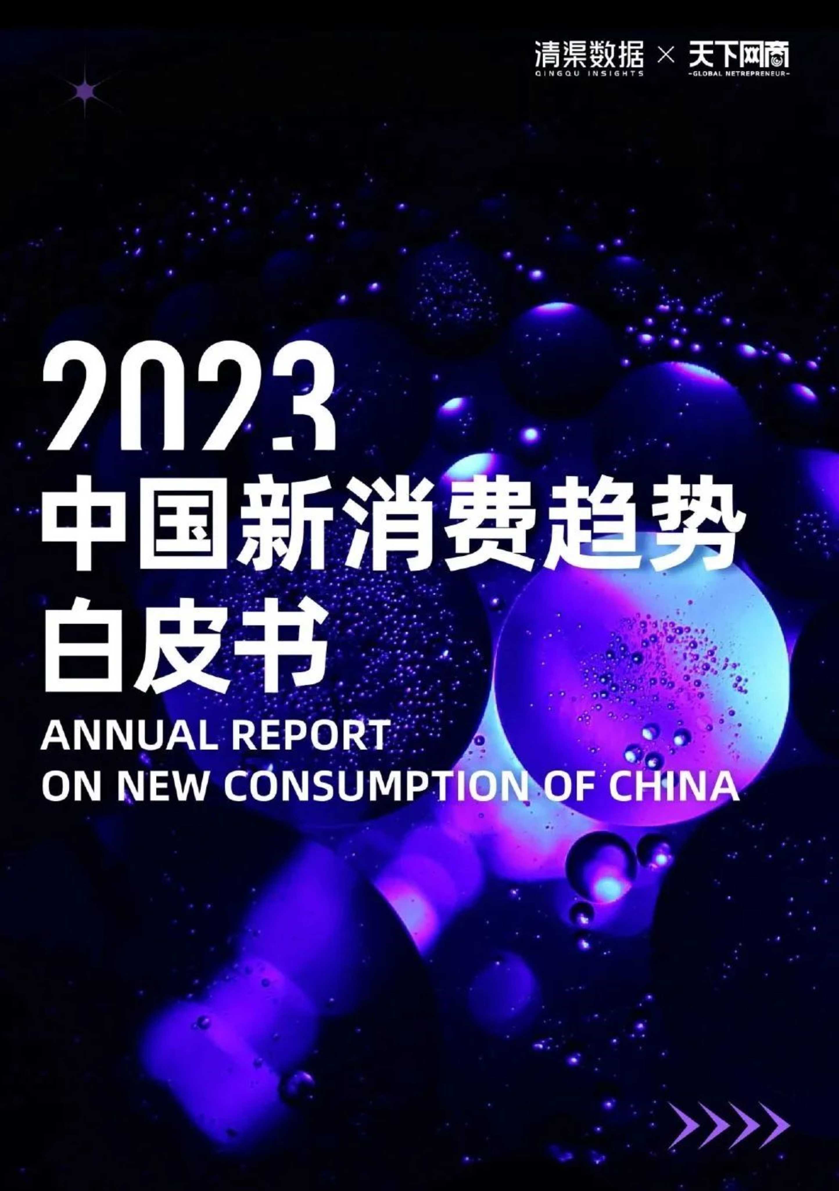 清渠数据&天下网商：2023中国新消费趋势白皮书 