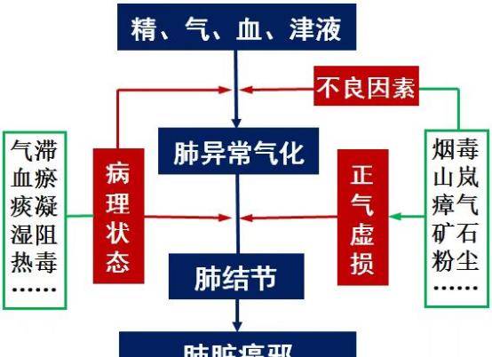 吴孝雄:病邪理论指导中药治疗肺结节预防肺病