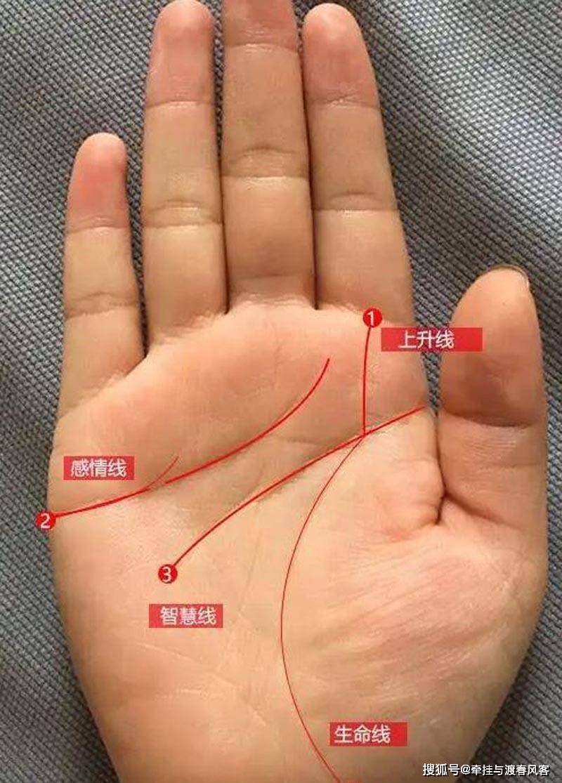 俗话说"断掌成线,富贵不欠债",这是什么意思?你确定吗?
