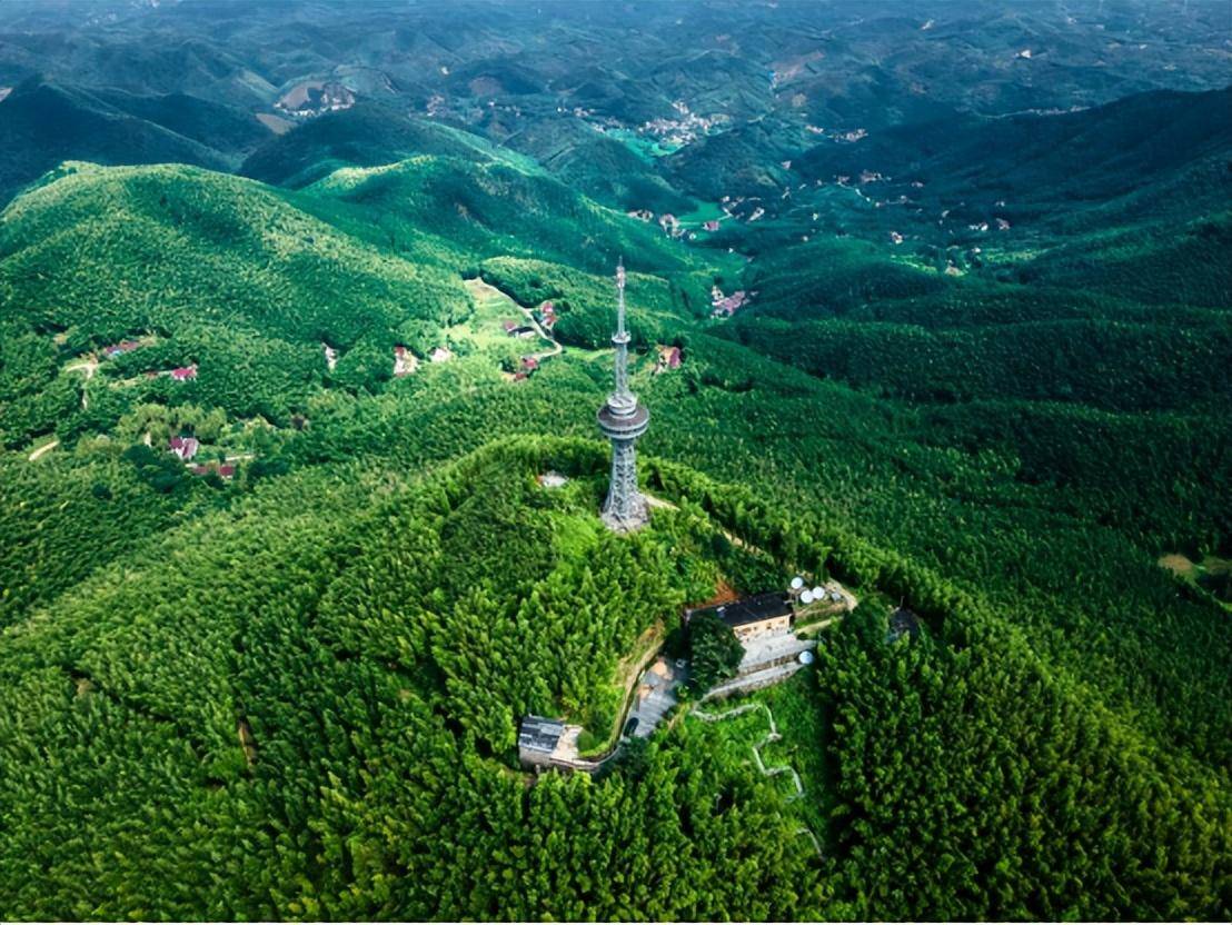 第三站广德市笄山村大王组竹连山,山连竹,竹林深深,满目苍翠.