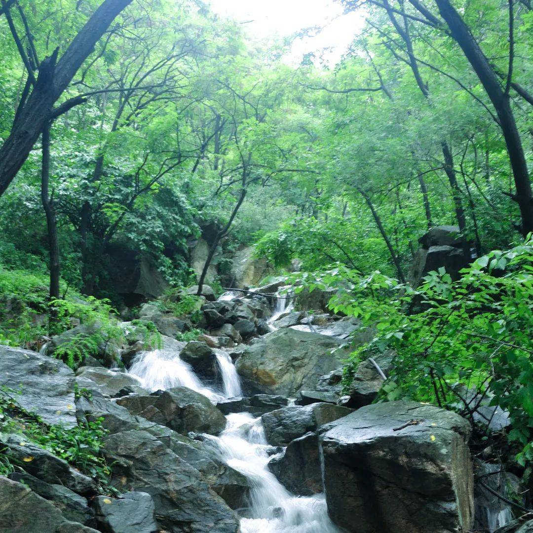 济南龙门山景区简介 龙门山景区介绍 济南团建最佳地方 南部山区团建
