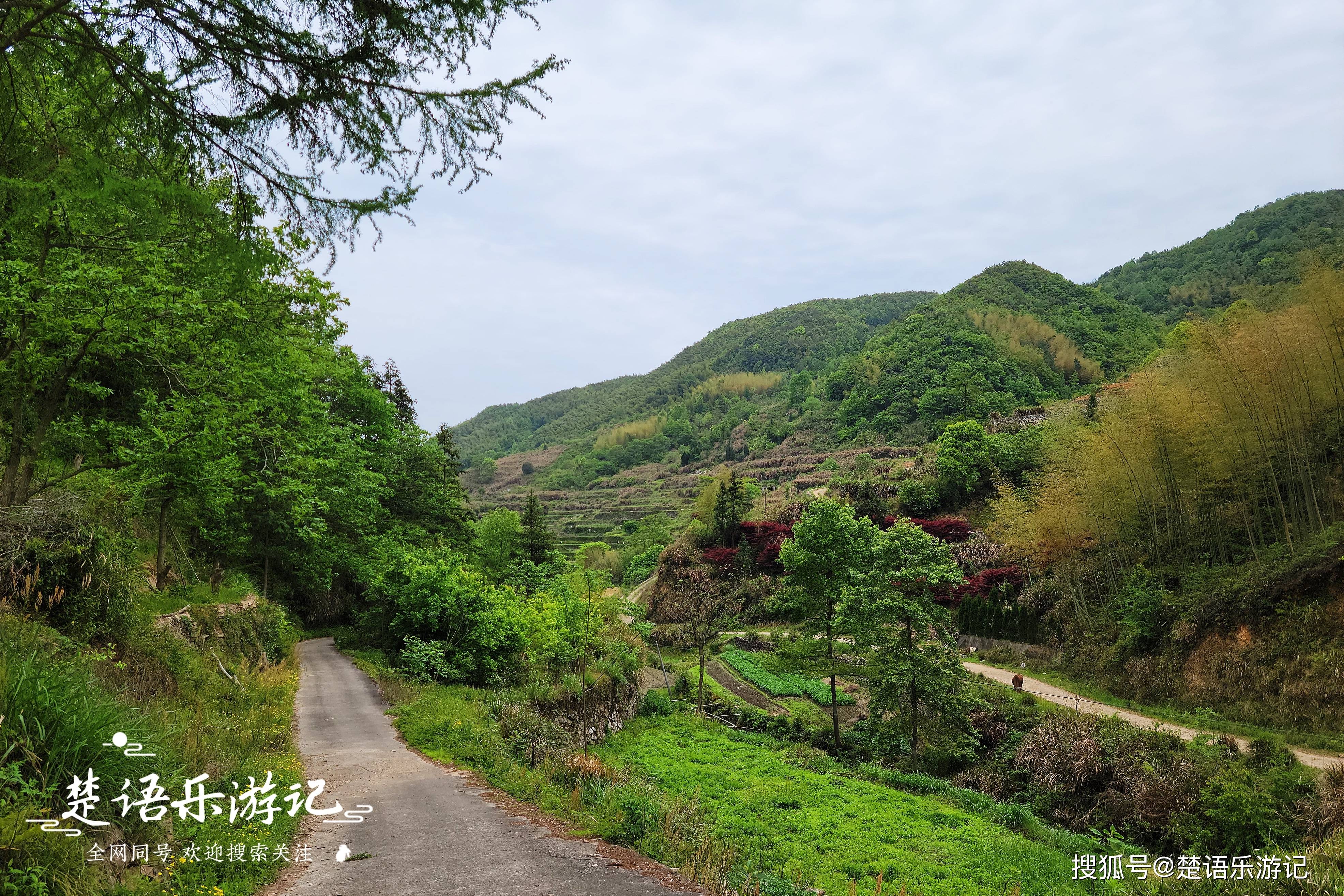 宁海这个山岙鲜有人来,却藏着一个绝美古村,白岩八景令人流连忘返