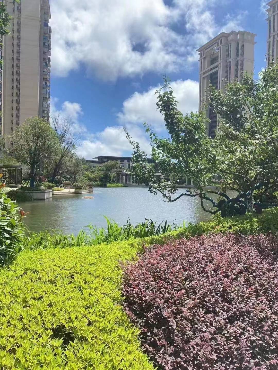 平湖御景湾怎么样?地址在哪里?