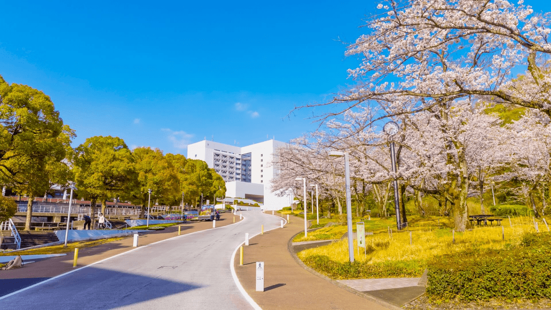 中央大学校园开放日见学（自由/当面）_手机搜狐网