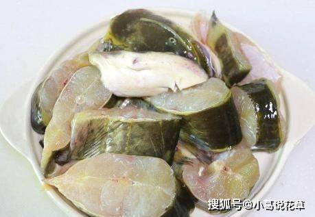 比甲魚還營養,全身都是寶,嫩滑鬆軟美味,5塊錢一斤卻無人買_鯰魚_食用