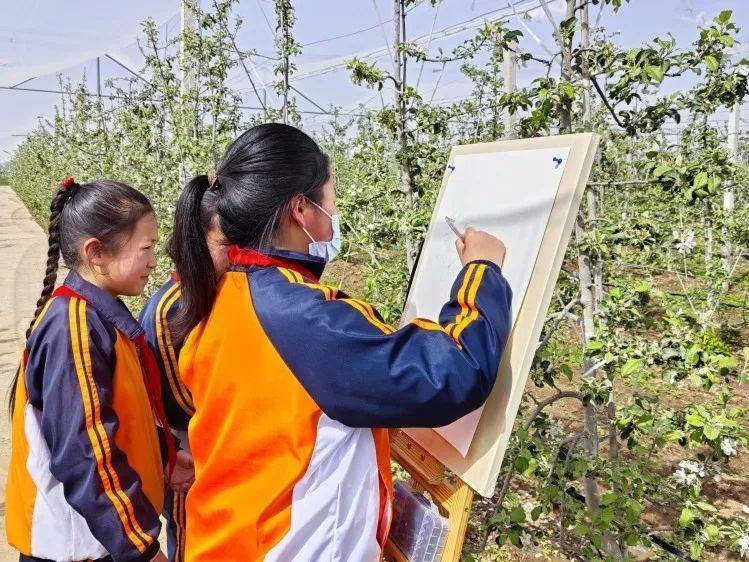 苹果花（苹果花干什么用） 第20张