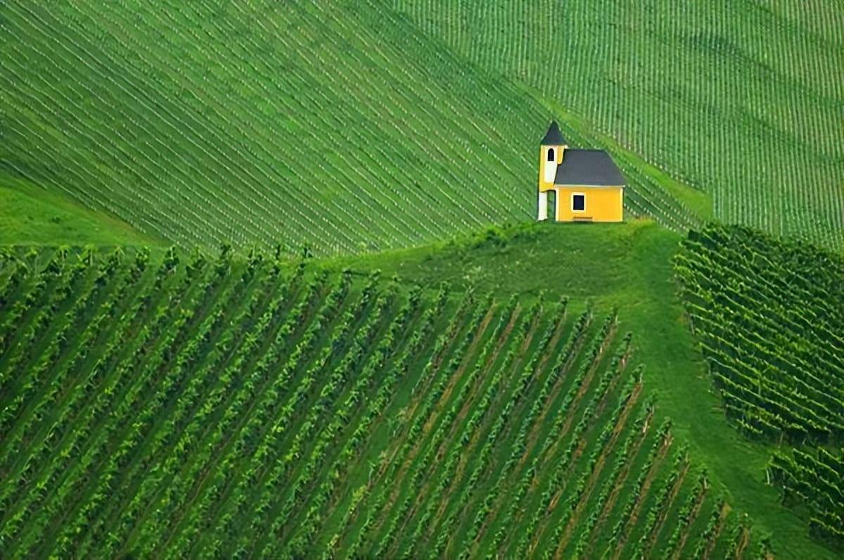 墨言教育分享||想学构图,来看看他的作品_摄影_风格_jure