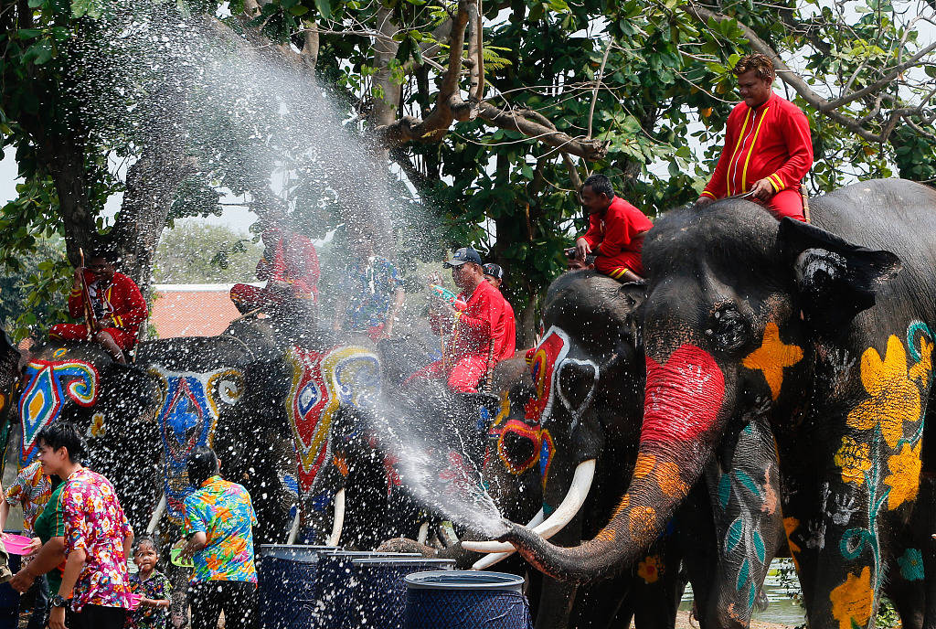 当地时间2023年4月11日,泰国曼谷北部大城府,大象向人们泼水庆祝泼水