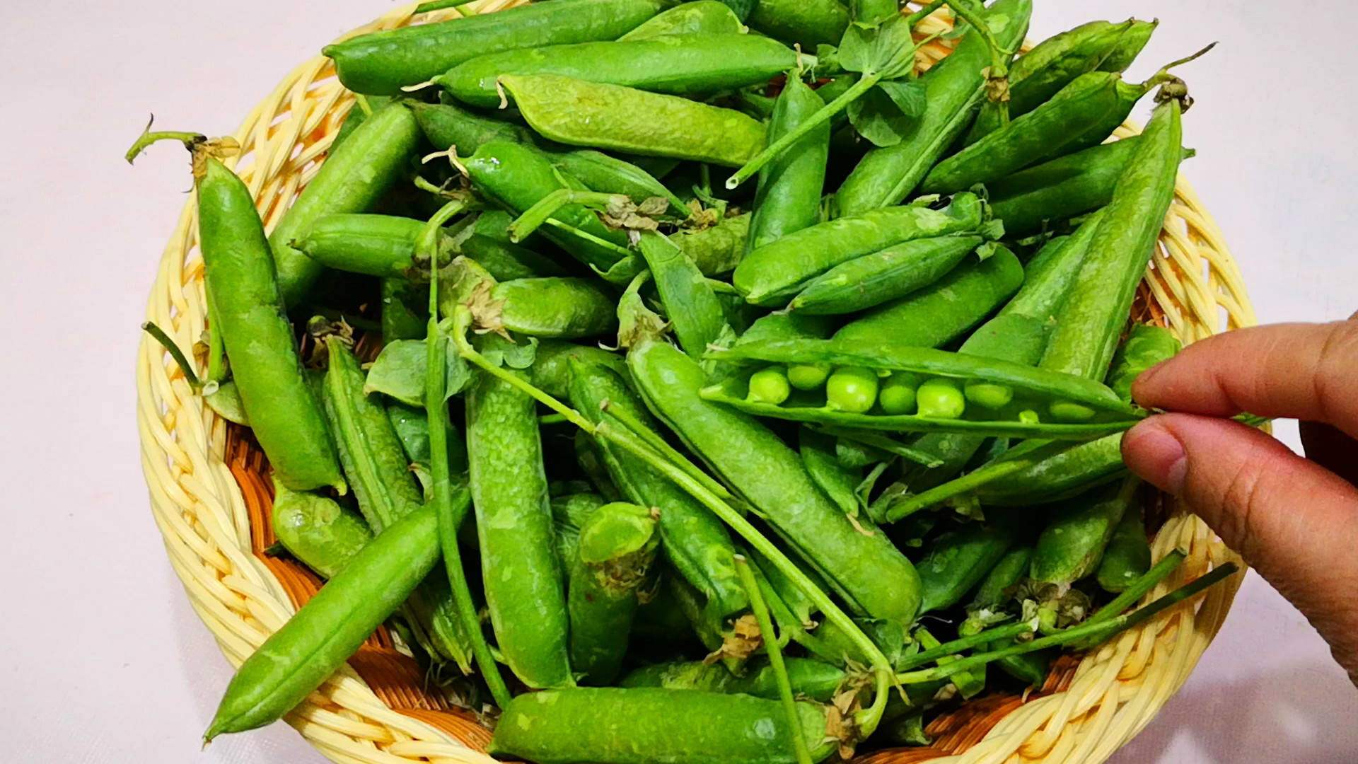 豌豆_冰箱_身体