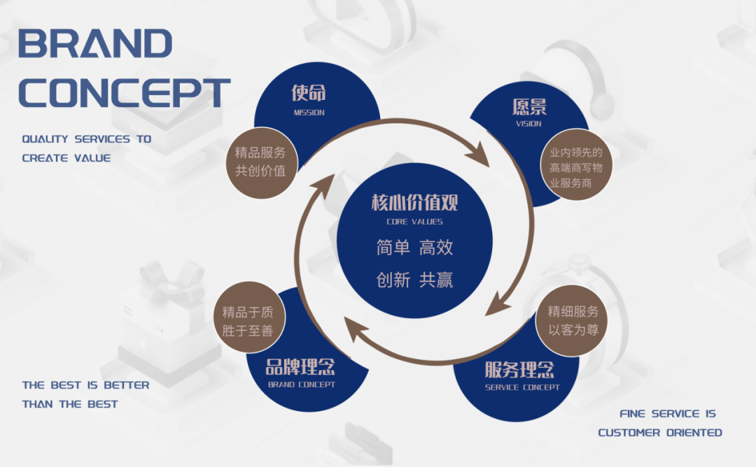 如何通过定制双品牌策略提升品牌网站建设的专家级效果？  第1张