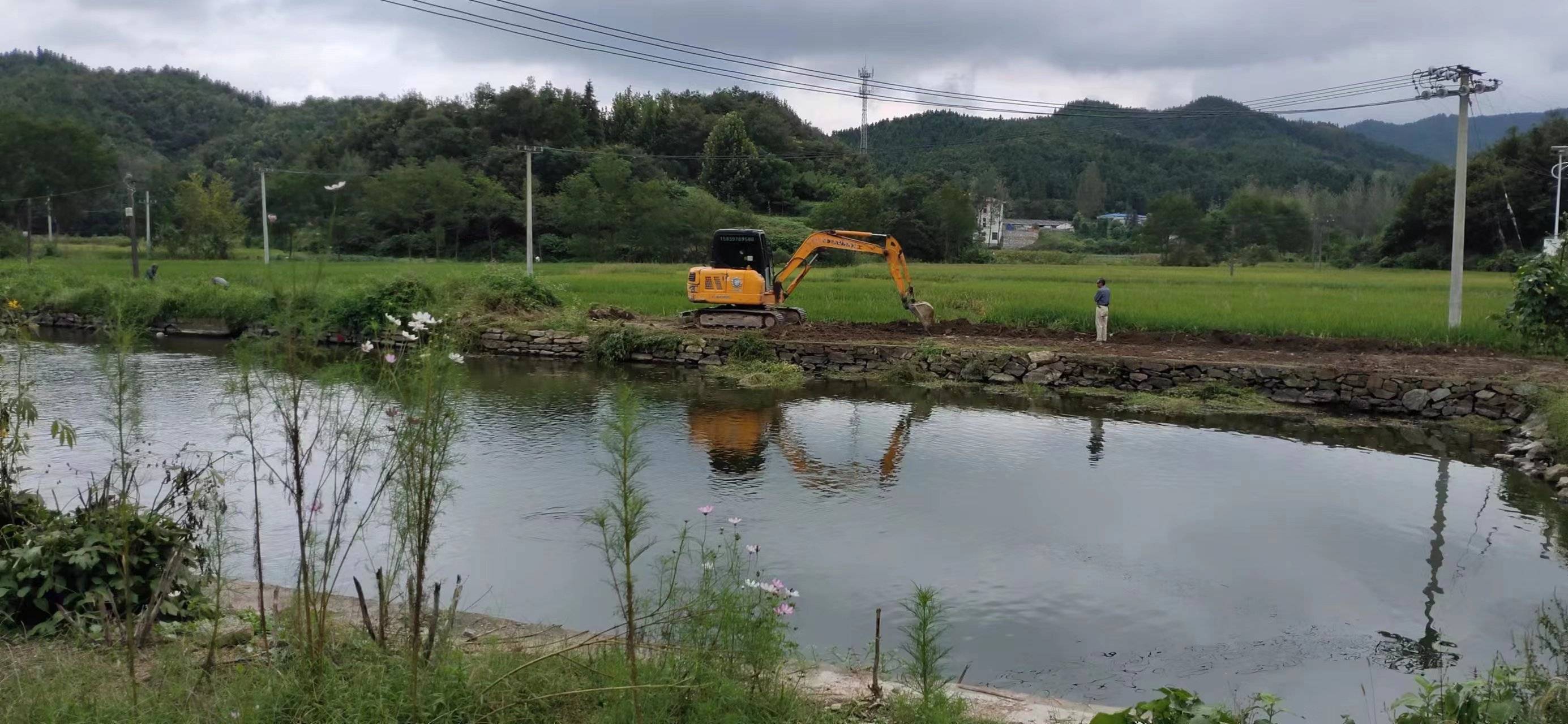 白雀园镇:驻村第一书记实扶重干 "五星"支部创建添动能_工作_整治