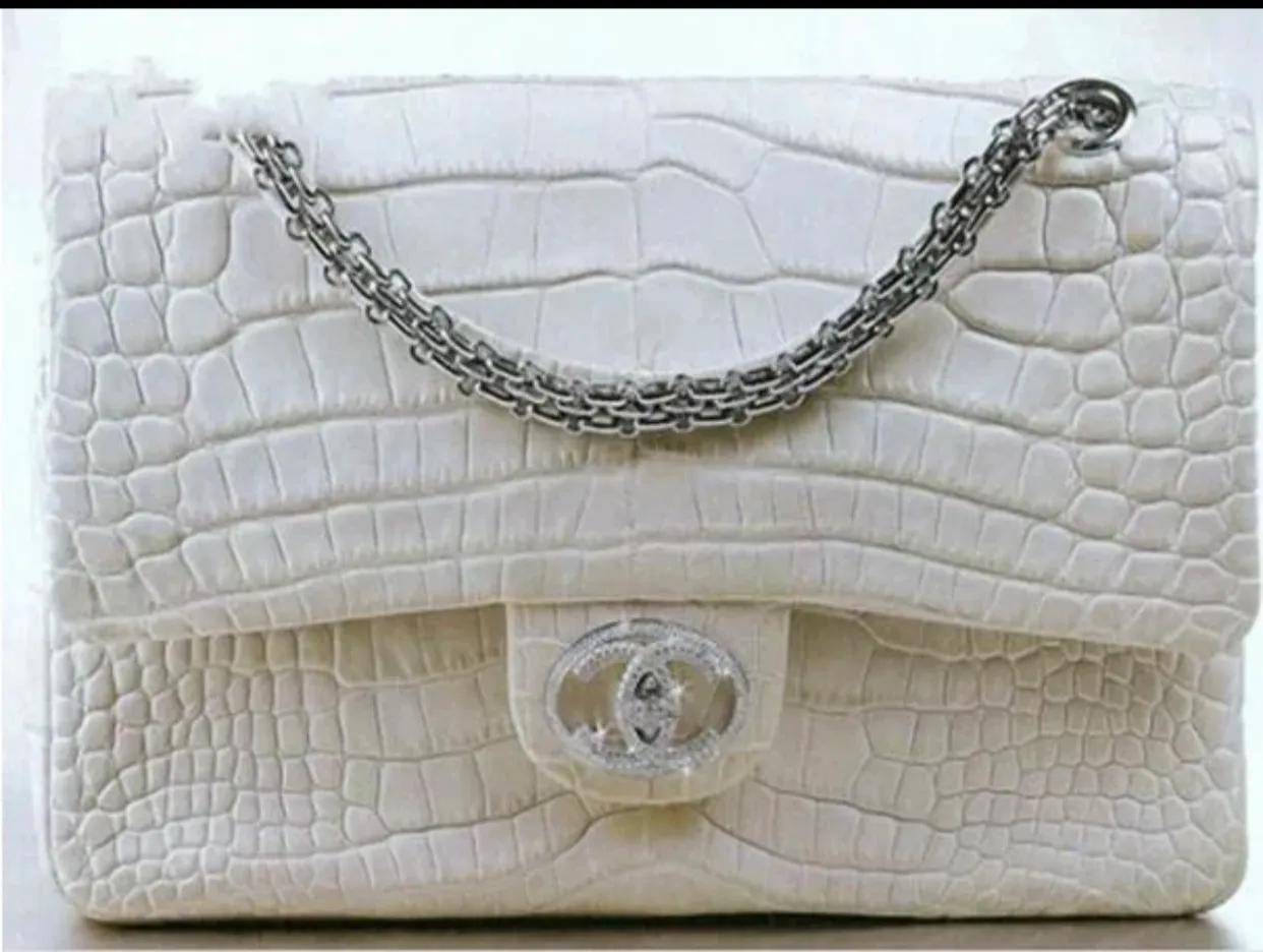 奋斗一辈子可能买不起一个包,世上最贵的包,一个价值北京一套房_包包