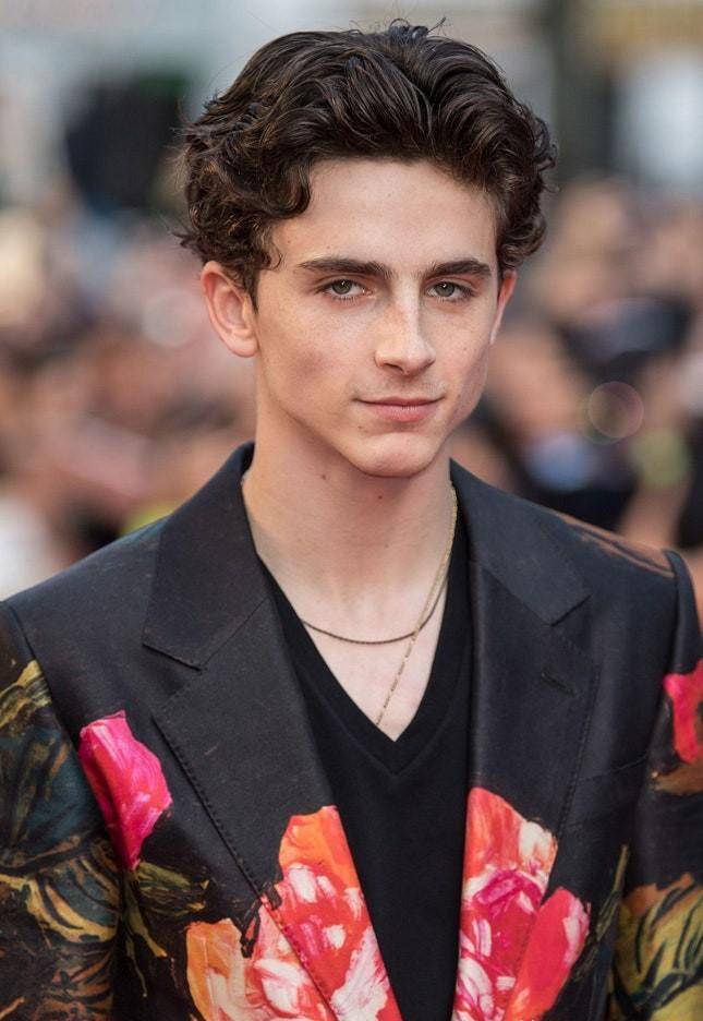 "甜茶"提莫西·查拉梅,开创男性阴柔气质的新时代_角色_穿着_照片