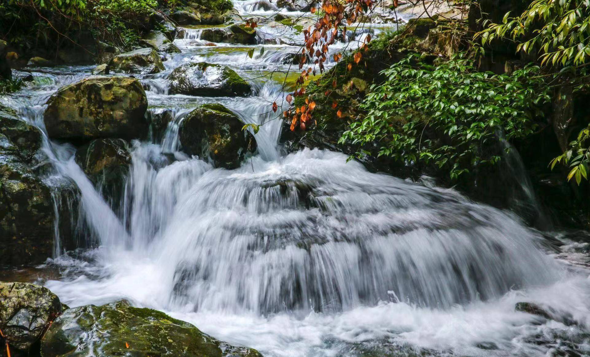 千島湖畔紅山谷景區開園,水韻安陽再添旅遊新名片!_生態_儀式_康養