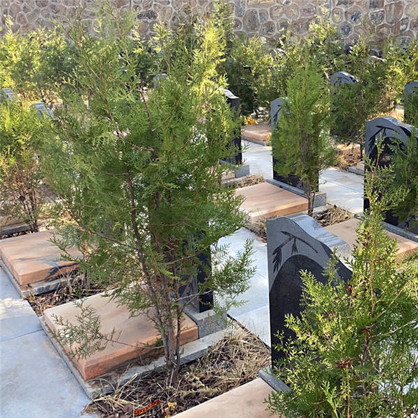 北京生态葬比较好的陵园有哪些?_服务_海葬_价格