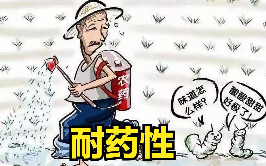 耐药性是什么意思 搜狐网