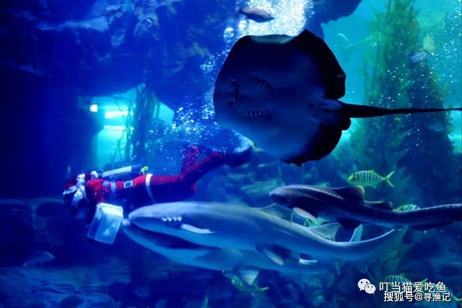 科技馆)是中国第一座水族馆,以梦幻水母宫(水族馆,海洋生物馆,海兽馆