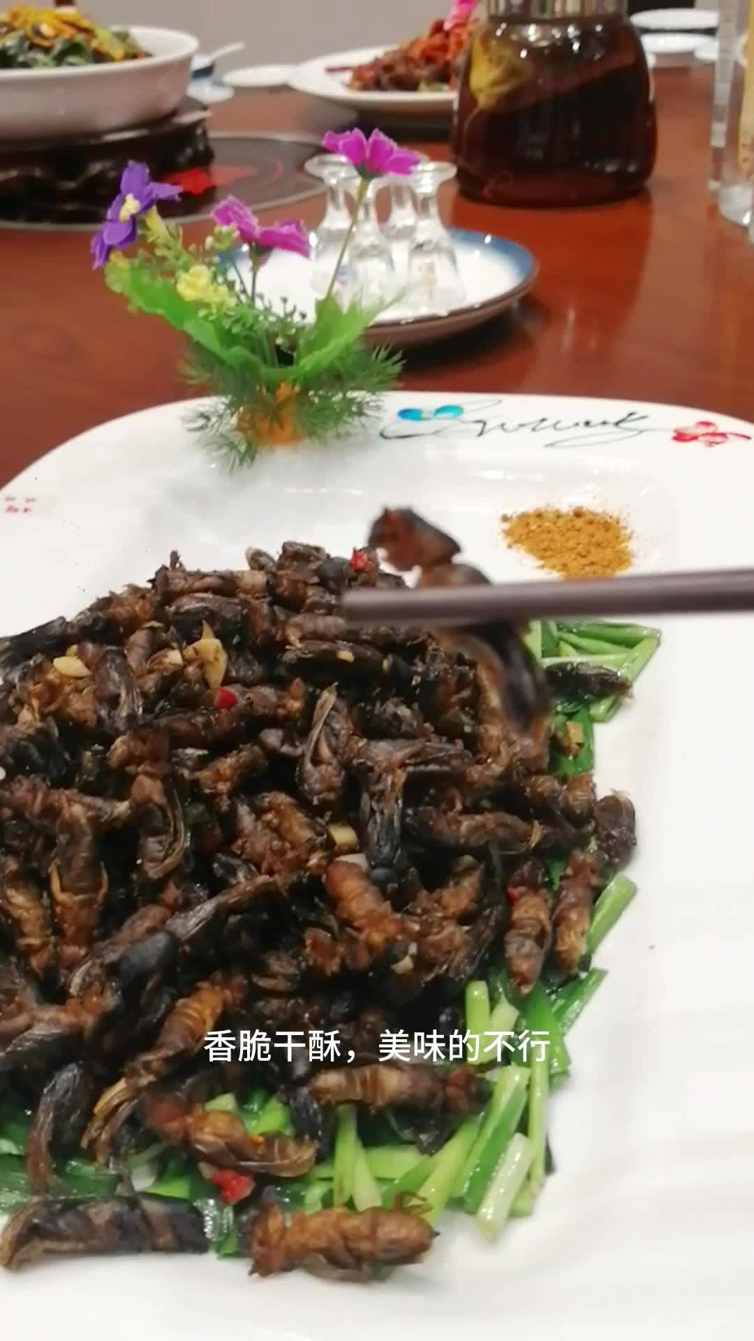 过节过生日,吃炸土狗,香脆干酥营养丰富_蝼蛄_美味_南宁