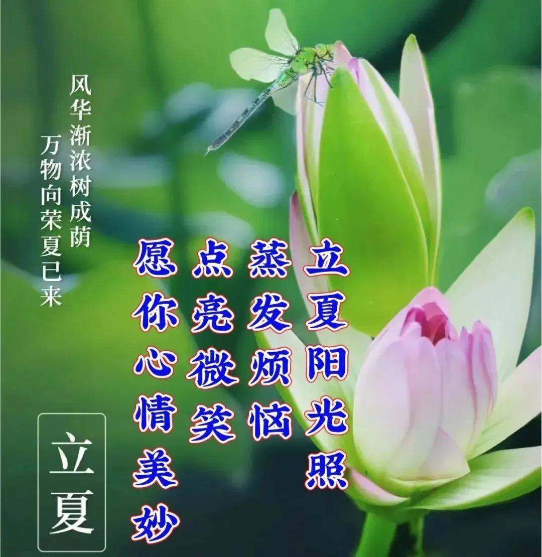 5月6日立夏节气安康,精选立夏早上好祝福图片带字!_手机_阳光_都可