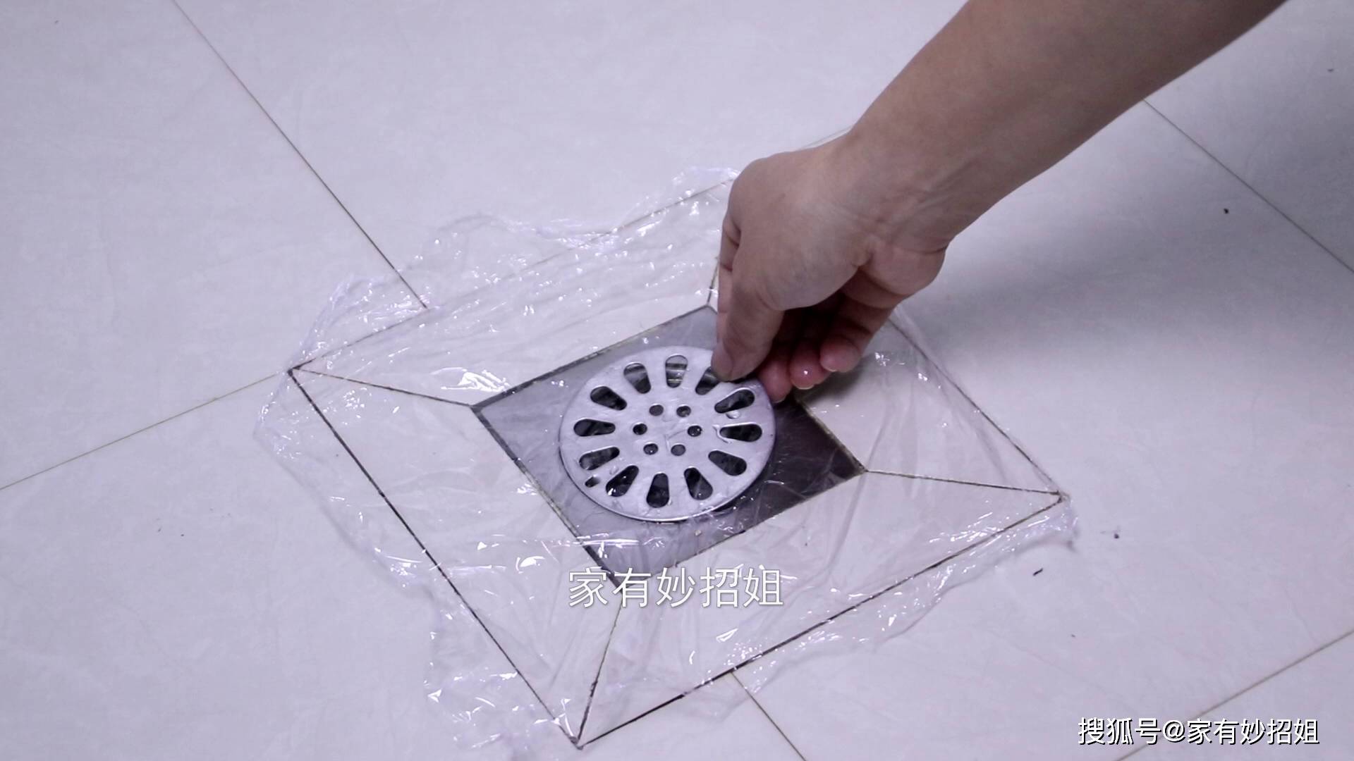 卫生间到处都是小飞虫?