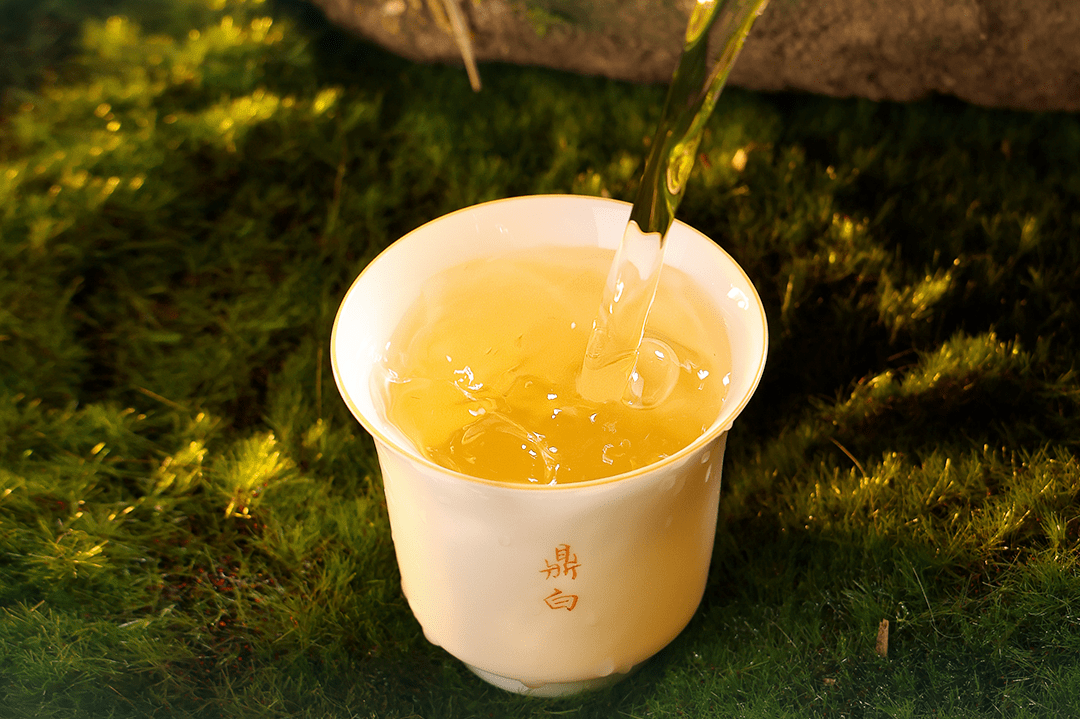 今日立夏 | 以一杯白茶跨越春夏