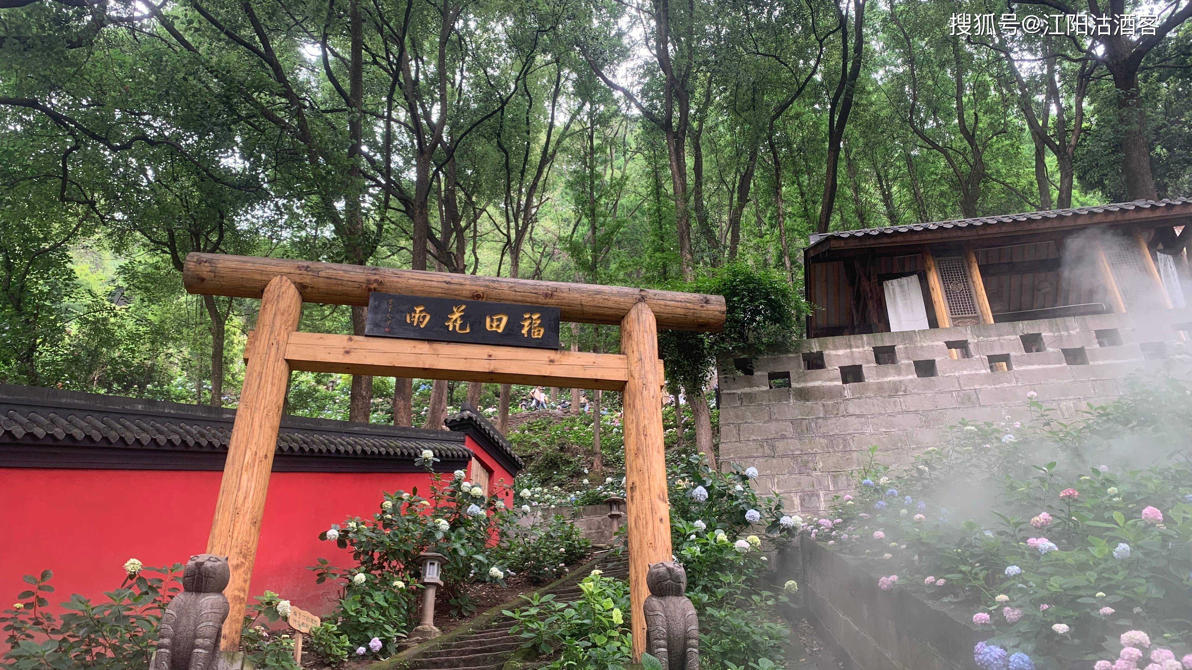 泸州金龙寺在哪里图片