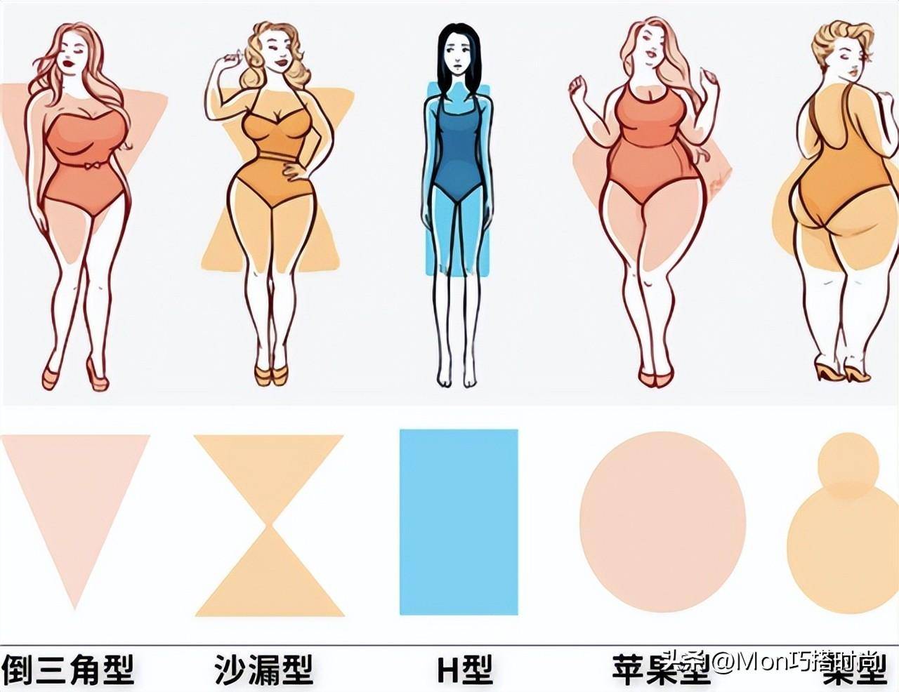 女性身材分类图片图片