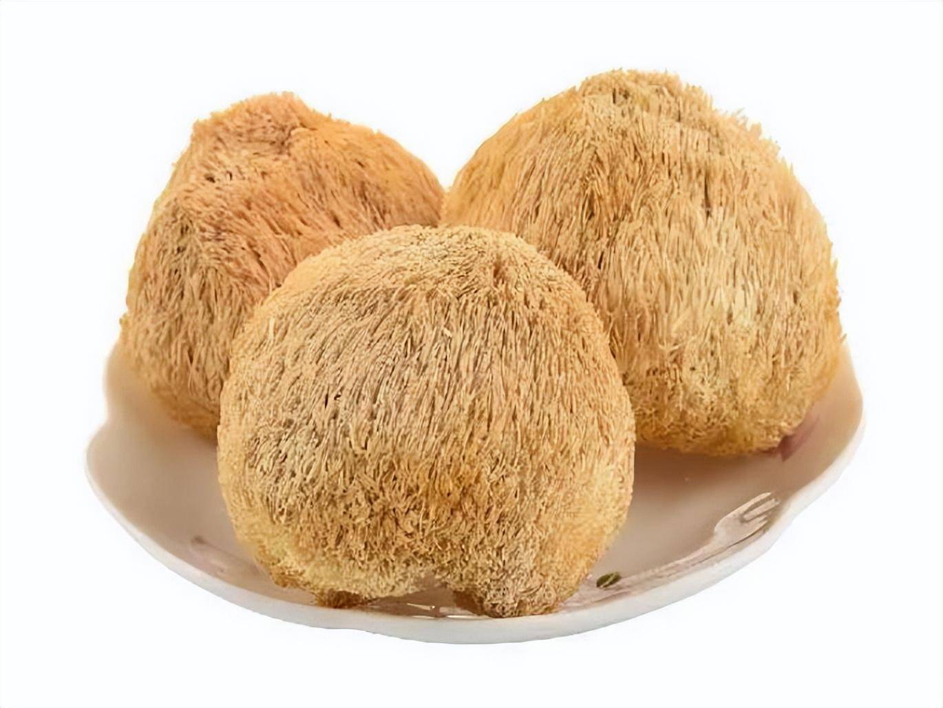 常山猴头菇:养胃奇兵,大自然的精灵_山珍_农产品_多糖