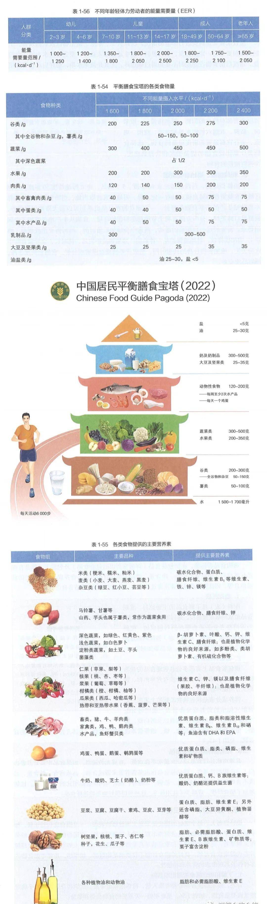 先发一个我国新版的膳食指南,膳食宝塔,膳食平衡餐盘,大家看一下:不会