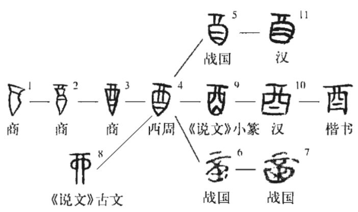 甲骨文的发现过程图片