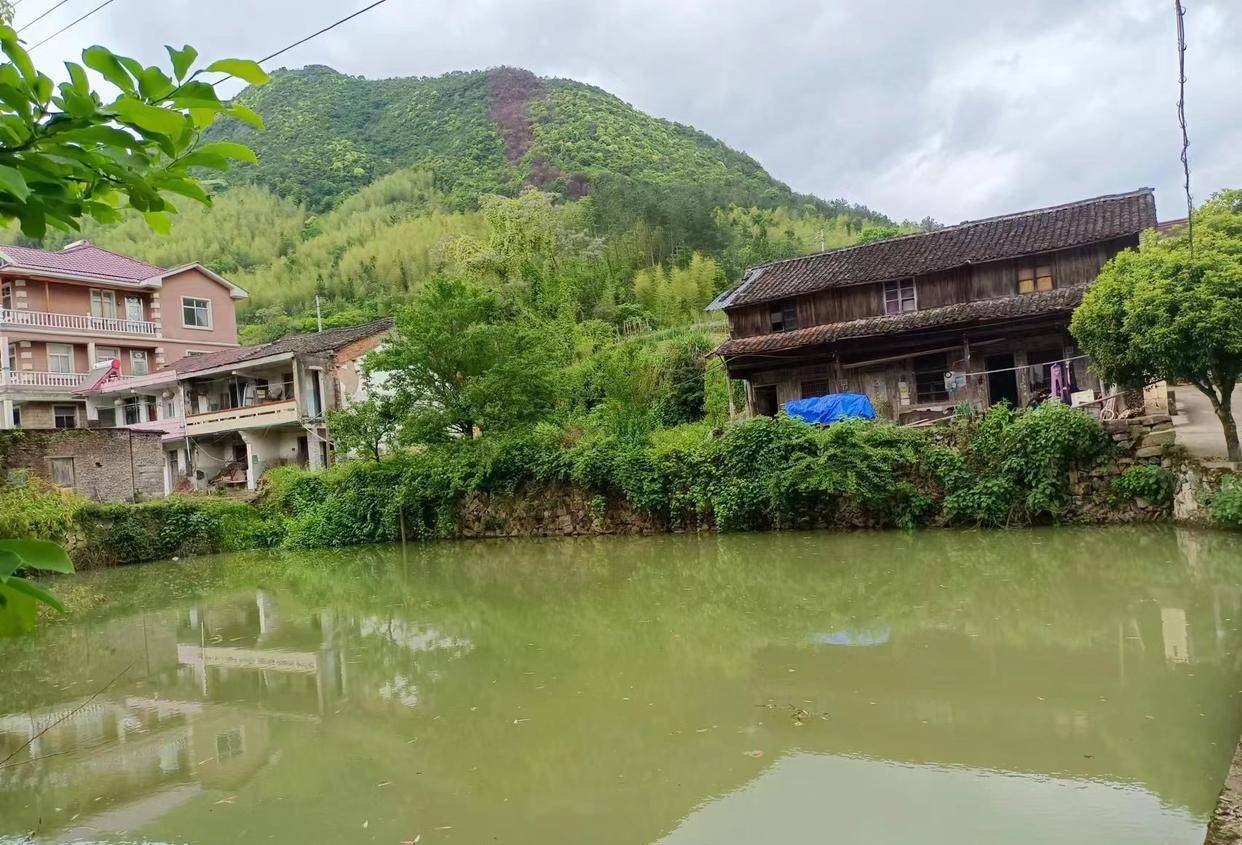 仙居县姚岸村,红色摇篮古树参天,姚元师故居遗址今