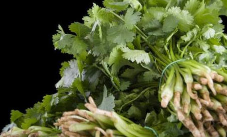 香菜有这么多的养生功效,你却还在吃放的时候把它挑出去?