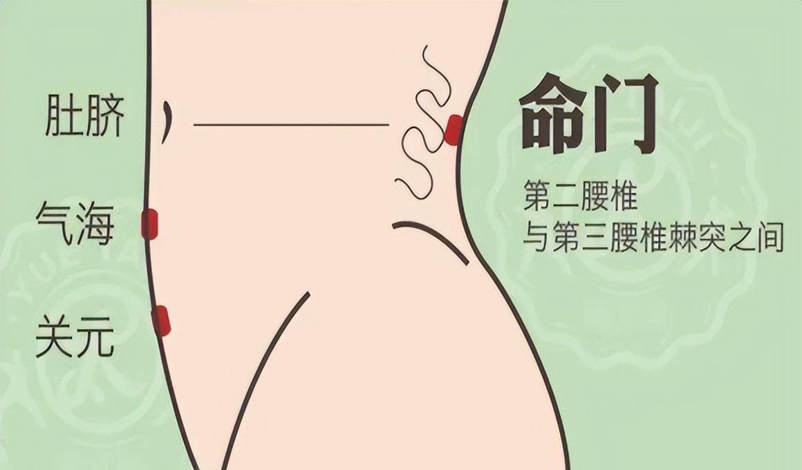肾虚了?常按这4个穴位,身体自带的补肾开关!肾不够虚的别按!