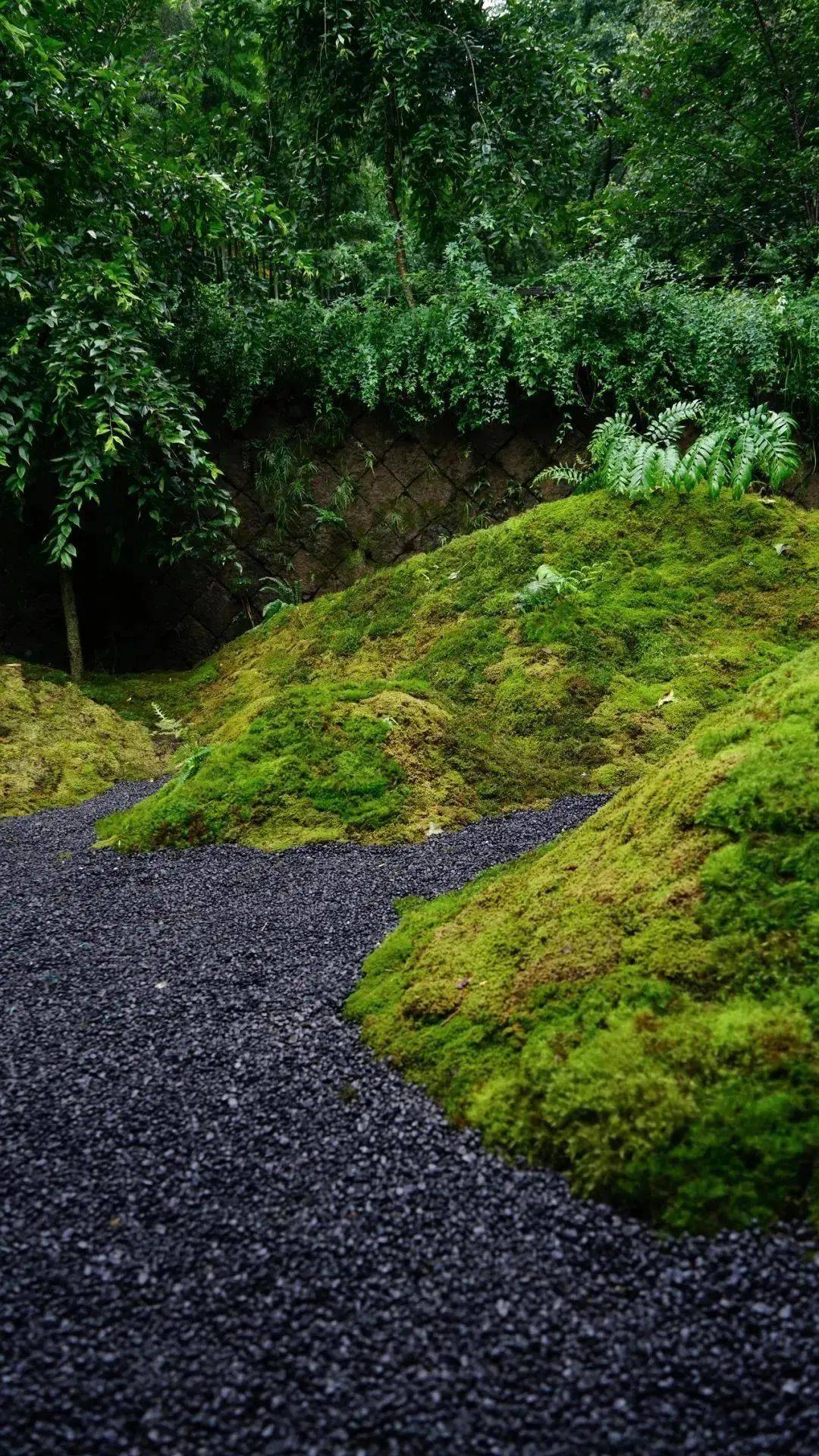 青州写生基地青苔小院图片