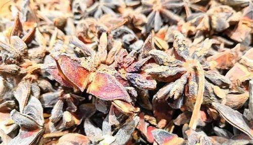4,香料八角,花椒,丁香,胡椒,大料,桂皮,草果,香奈等传统香料,性质多燥