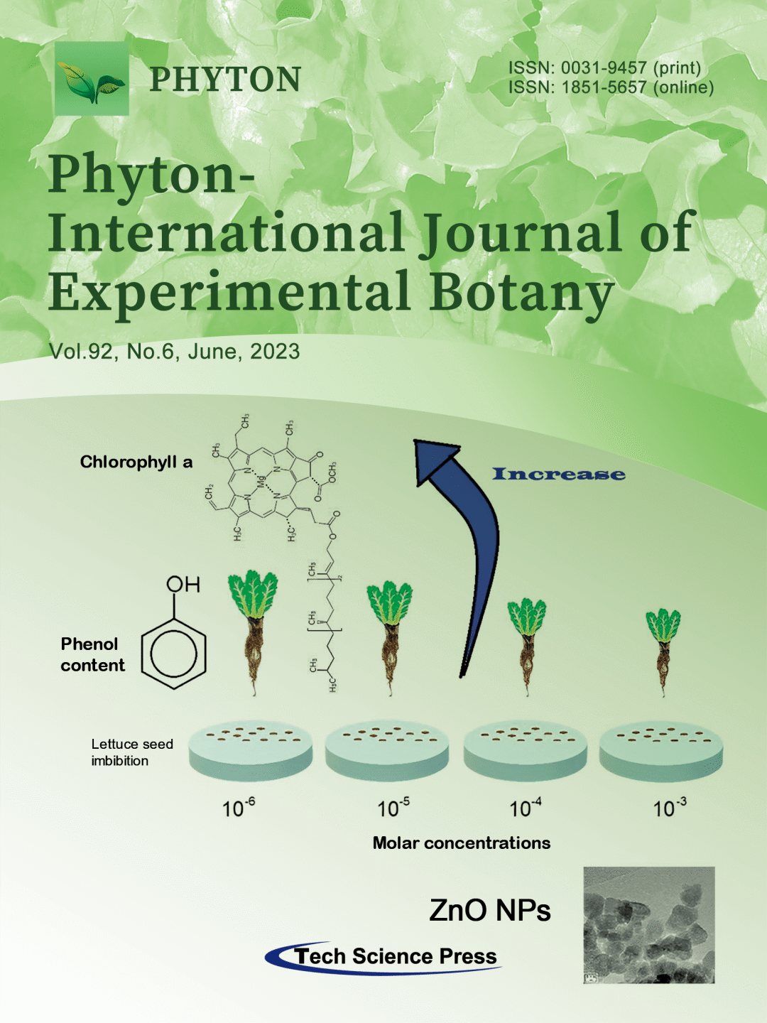 【phyton编辑推荐】南京农业大学陈发棣教授团队在菊花