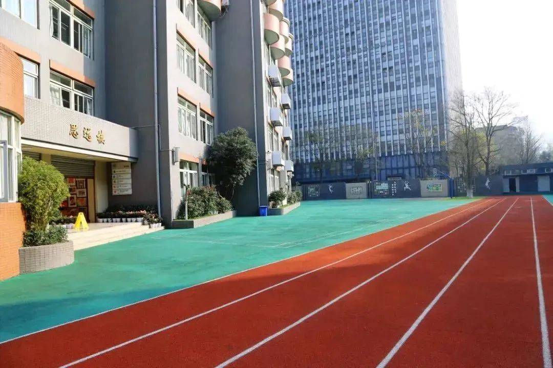 青羊区仍占成都教育高地!_校区_小学_家长