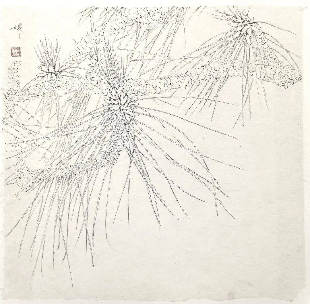 马媛媛|白描写生 系列欣赏_cmx_艺术_纸本