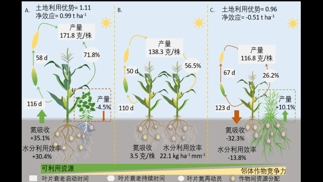 【cc讲坛】熊友才:植物种间竞合与达尔文农业