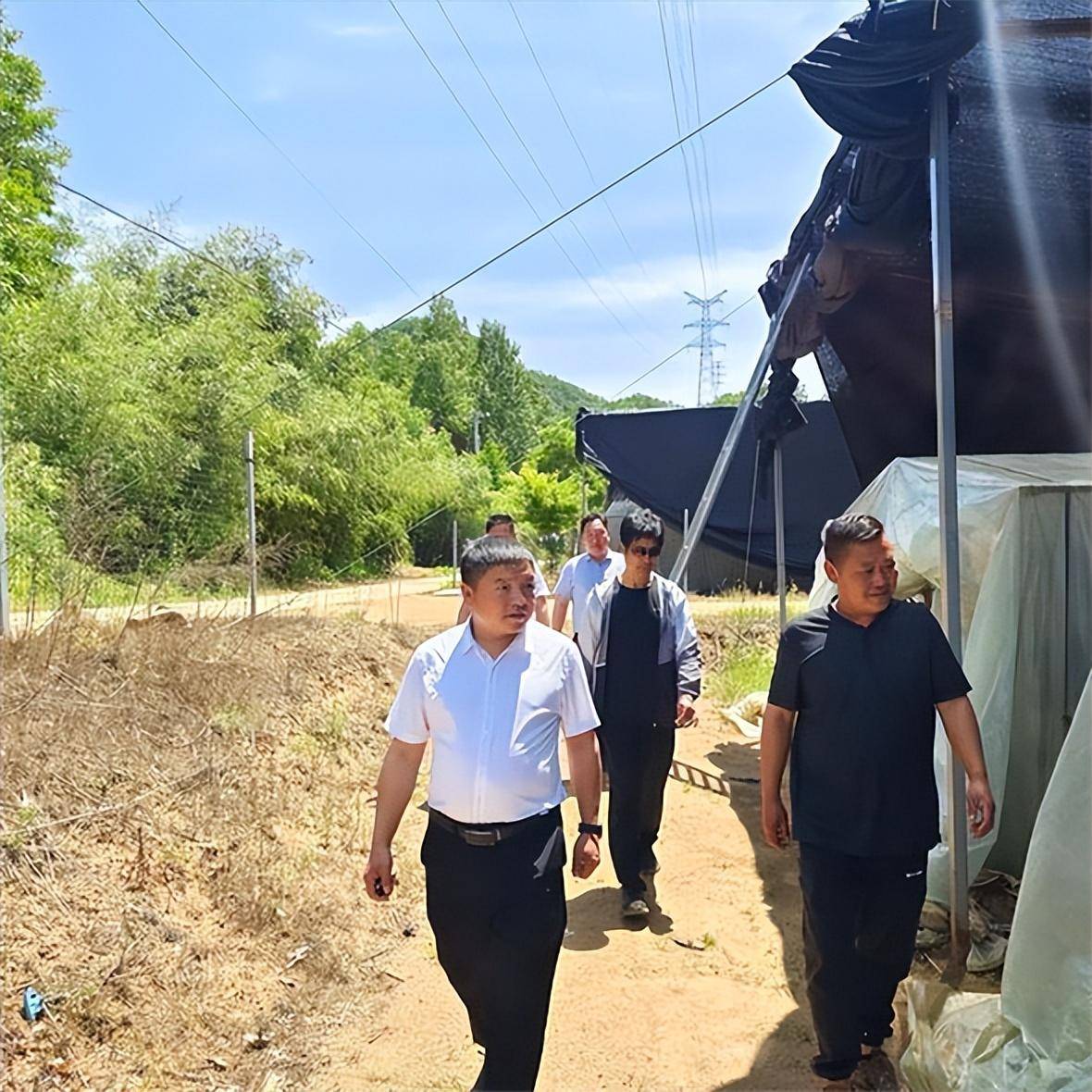 洛阳市食用菌产业协会洛阳出租汽车行业协会走进嵩县车村镇振兴对口