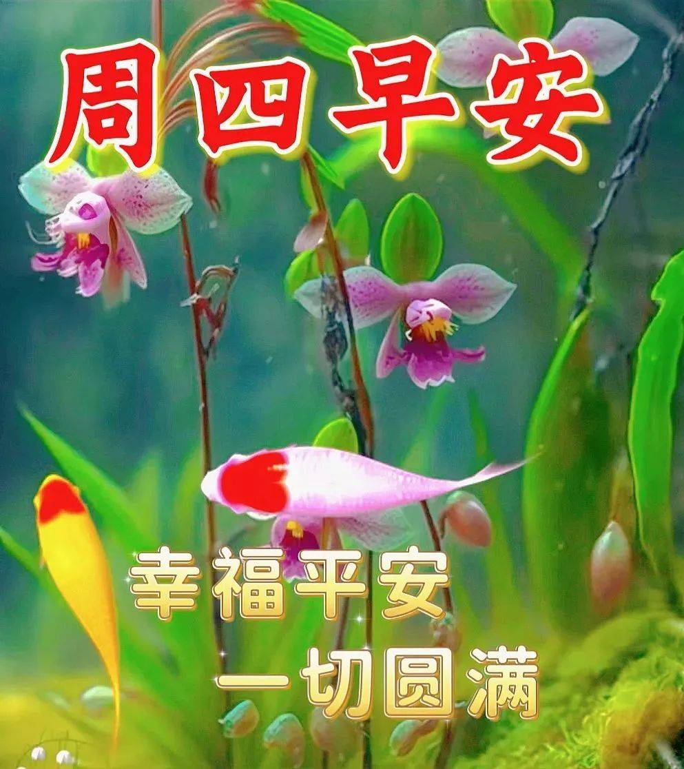5月18日周四早上好清晨温馨唯美祝福语图片_天都_平安_如意