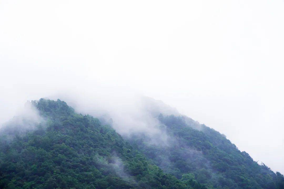 晓雾将歇的晓 来自搜狐网